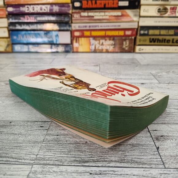 CHINDERA Nancy Cato 1976 Dell 1st Print Paperback Historical Fiction Brown Sugar - Picture 11 of 14